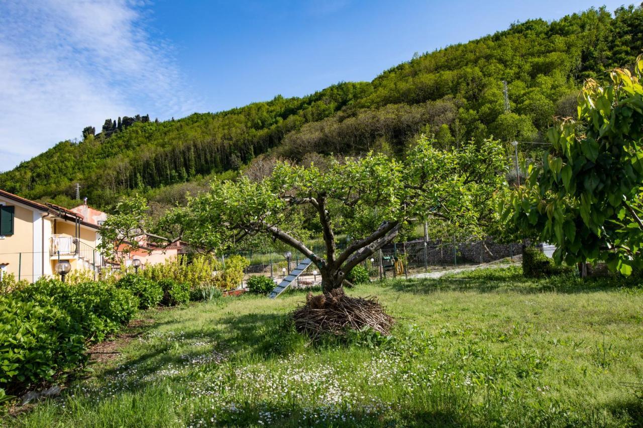 Вилла Apicella Casa Vacanze Трамонти Экстерьер фото